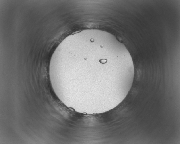 X0000076400620200611031723