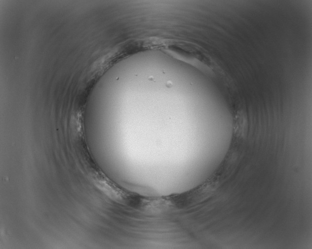 X0000076400621200611031723