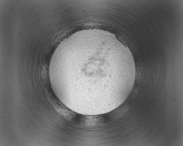 X0000076400623200611031723