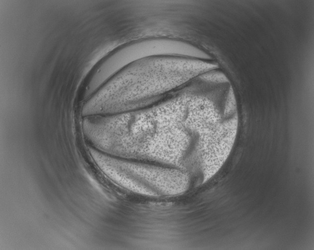 X0000076400626200611031722