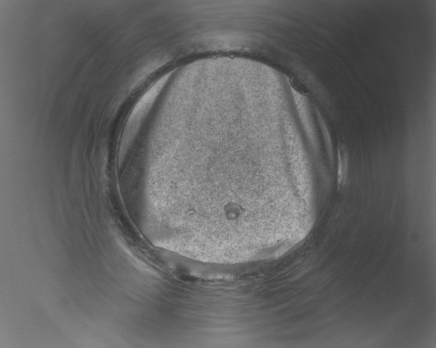 X0000076400627200611031722