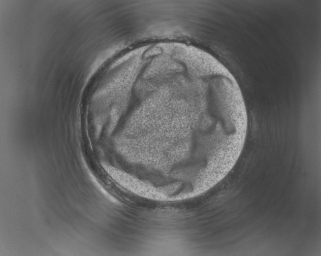 X0000076400630200611031722