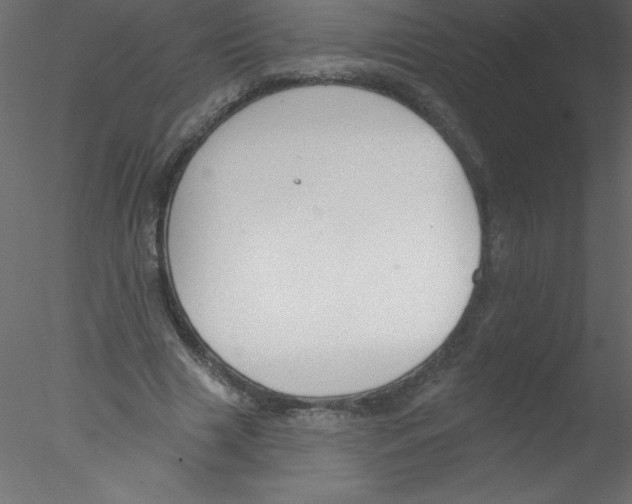 X0000076400633200611031723