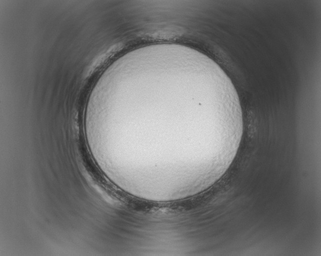 X0000076400634200611031723