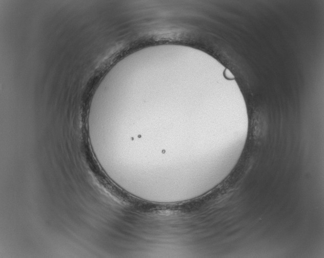 X0000076400637200611031723