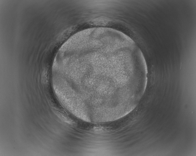 X0000076400641200611031723