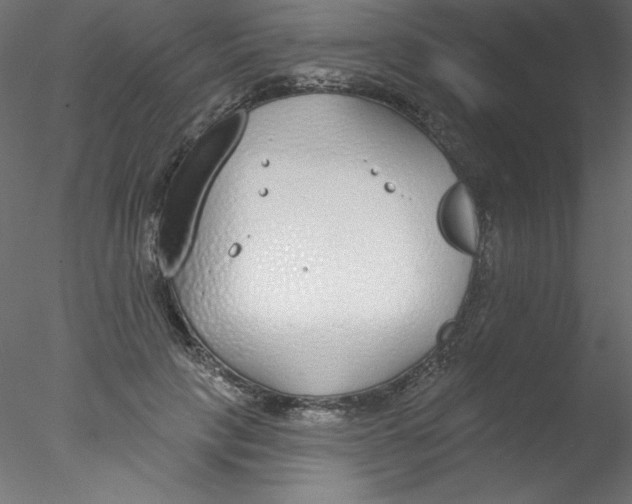 X0000076400649200611031723