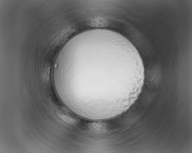 X0000076400652200611031723