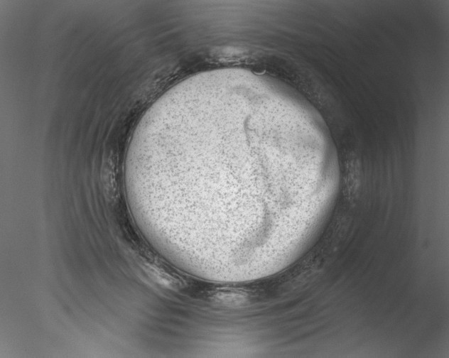 X0000076400653200611031723