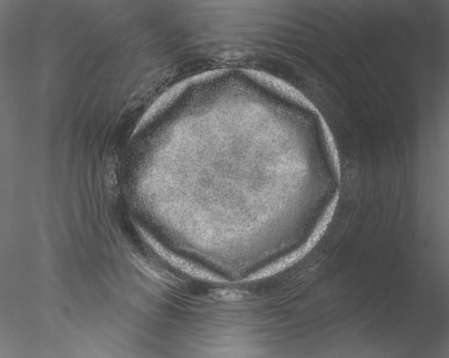 X0000076400654200611031723