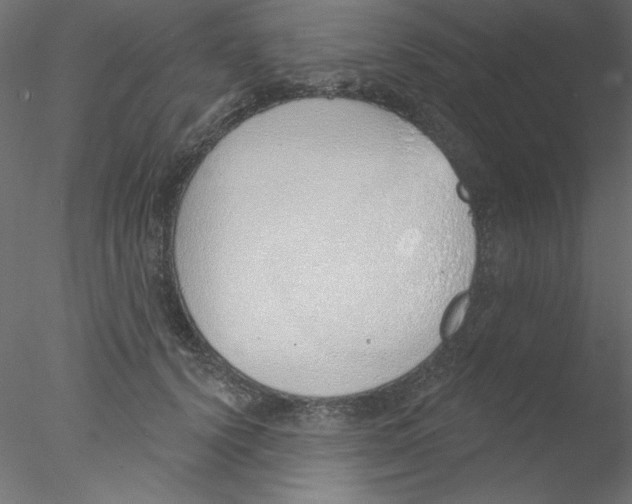 X0000076400656200611031723