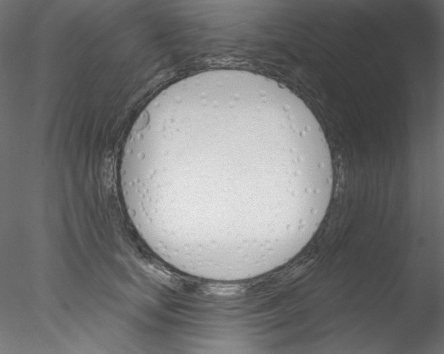 X0000076400659200611031723