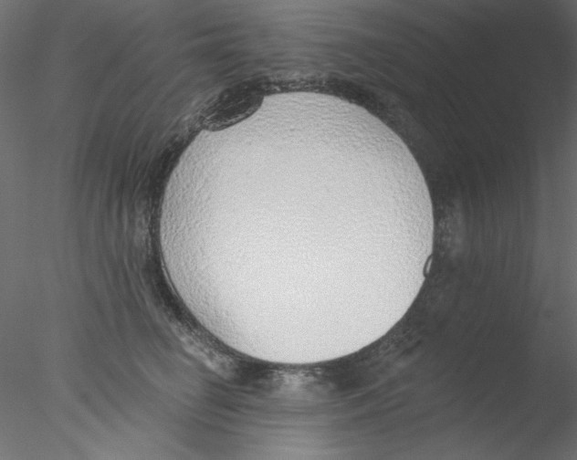 X0000076400662200611031723