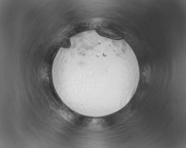 X0000076400663200611031723