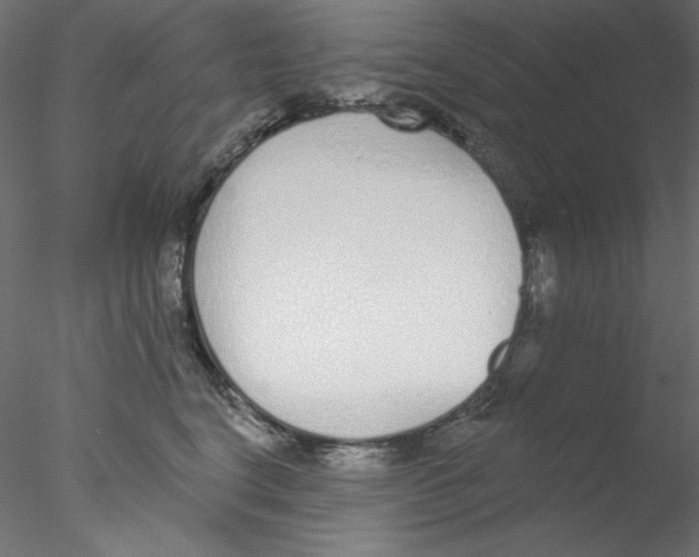 X0000076400664200611031723