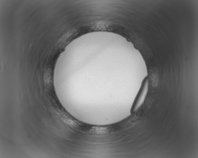 X0000076400665200611031723