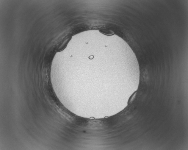 X0000076400666200611031723