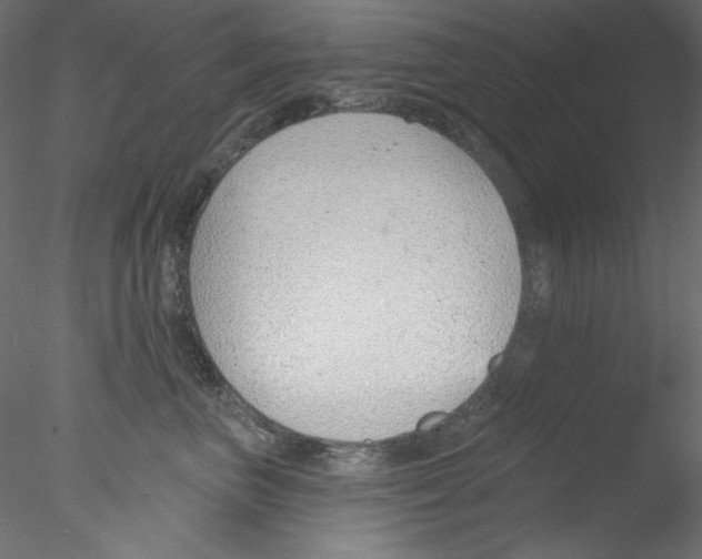 X0000076400667200611031723