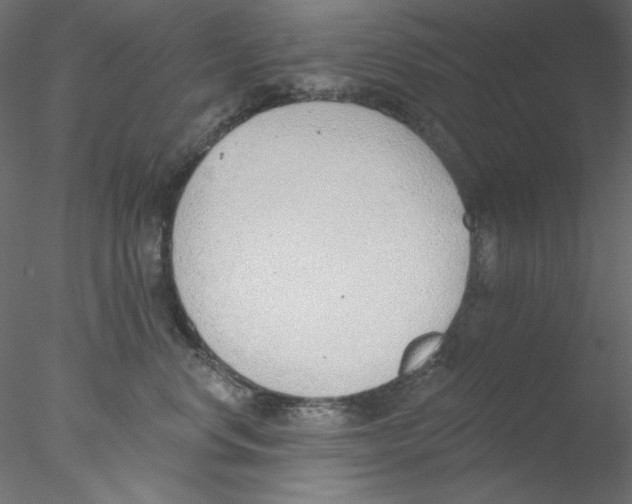 X0000076400668200611031723