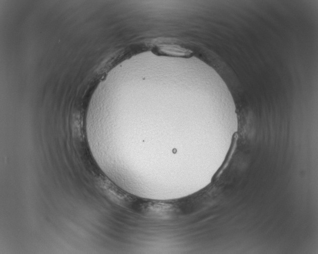 X0000076400669200611031723