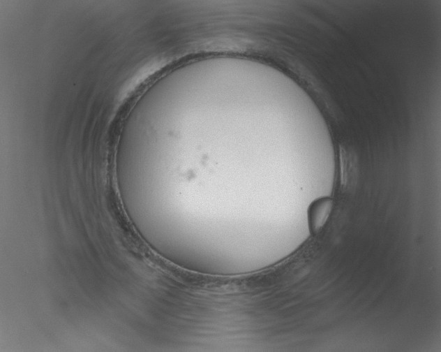 X0000076400675200611031722