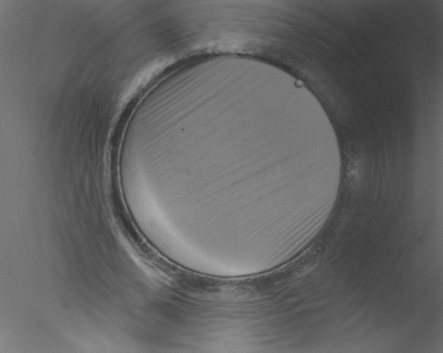 X0000076400678200611031722