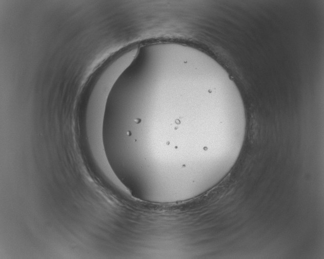 X0000076400680200611031722