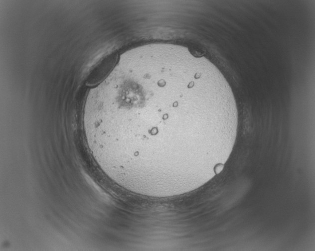 X0000076400683200611031722