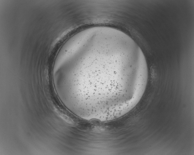 X0000076400684200611031722