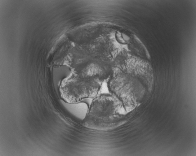 X0000076400691200611031722