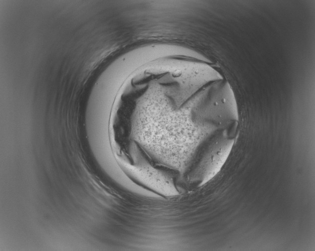 X0000076400692200611031722