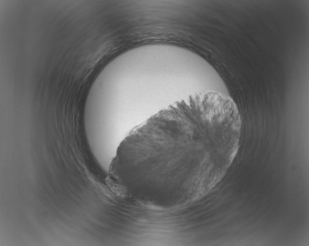 X0000076400695200611031722