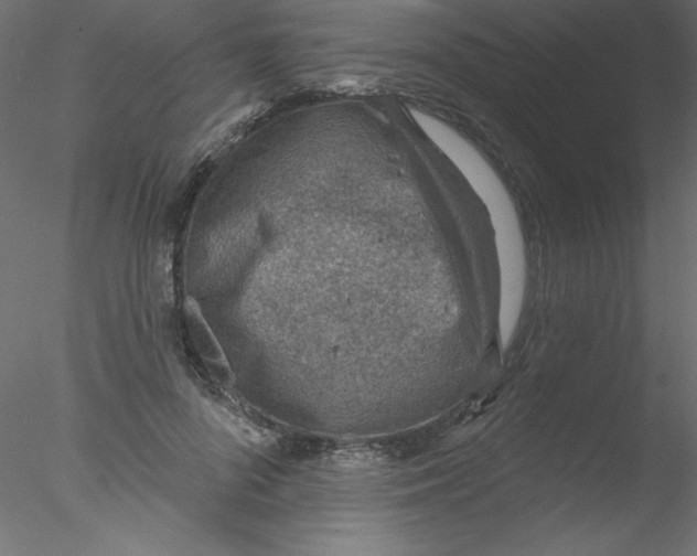 X0000076400696200611031722