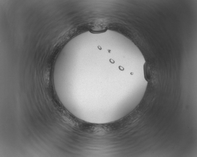 X0000076400697200611031722