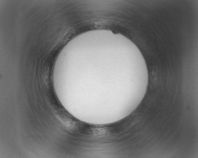 X0000076400698200611031722