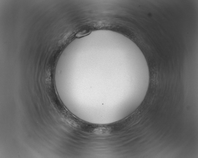 X0000076400700200611031722