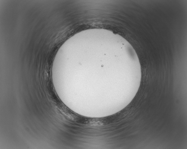 X0000076400702200611031722