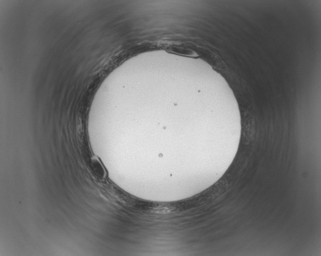 X0000076400704200611031722