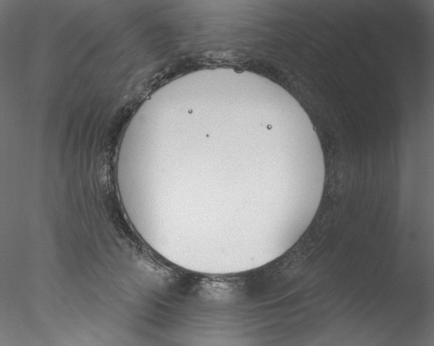 X0000076400706200611031722