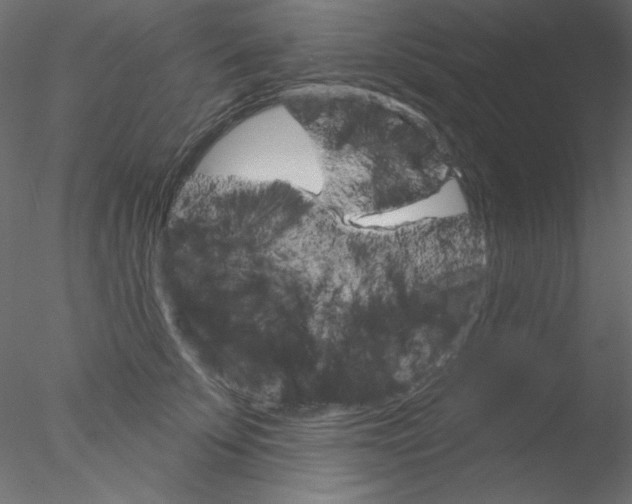 X0000076400707200611031722