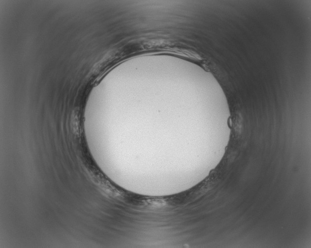 X0000076400715200611031722