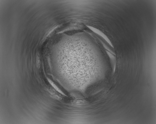 X0000076400716200611031722