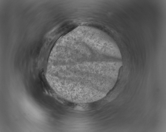 X0000076400720200611031722