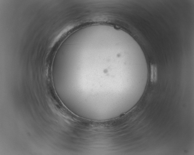 X0000076400723200611031721