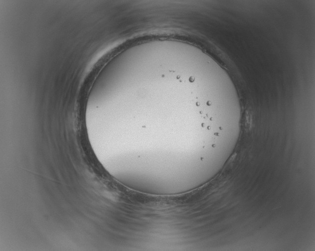 X0000076400724200611031721