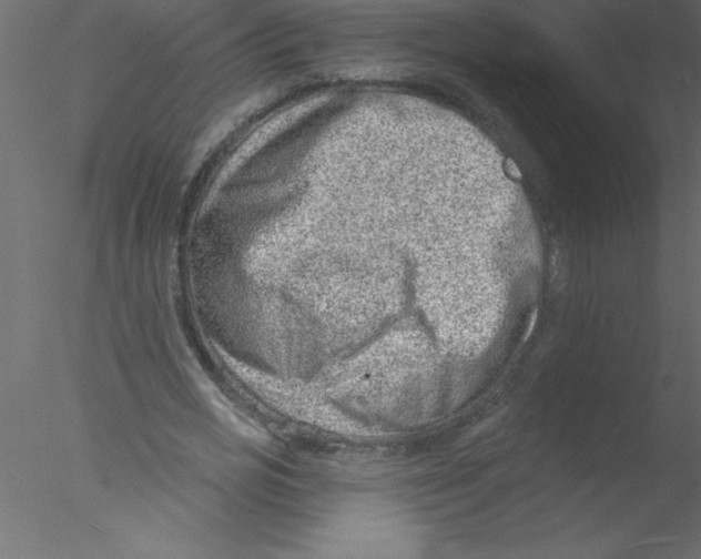 X0000076400725200611031721