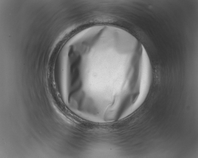 X0000076400726200611031721