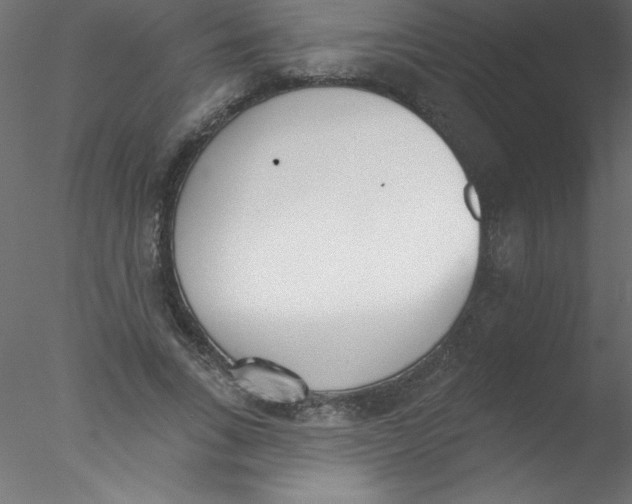 X0000076400735200611031721