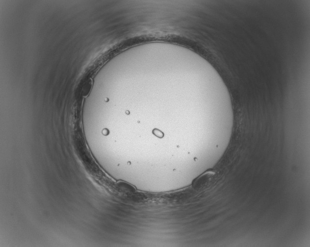 X0000076400736200611031721