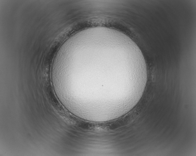 X0000076400737200611031721